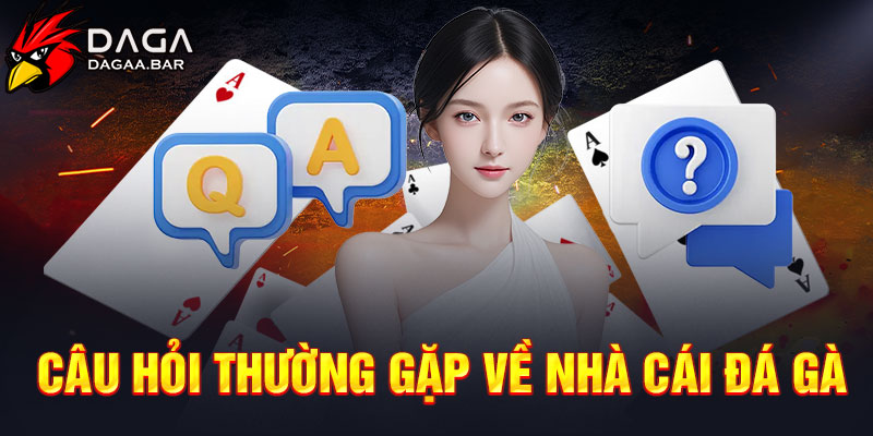 Câu hỏi thường gặp về nhà cái đá gà