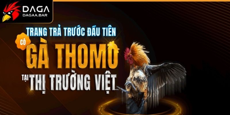 Hoàn cược cực khủng