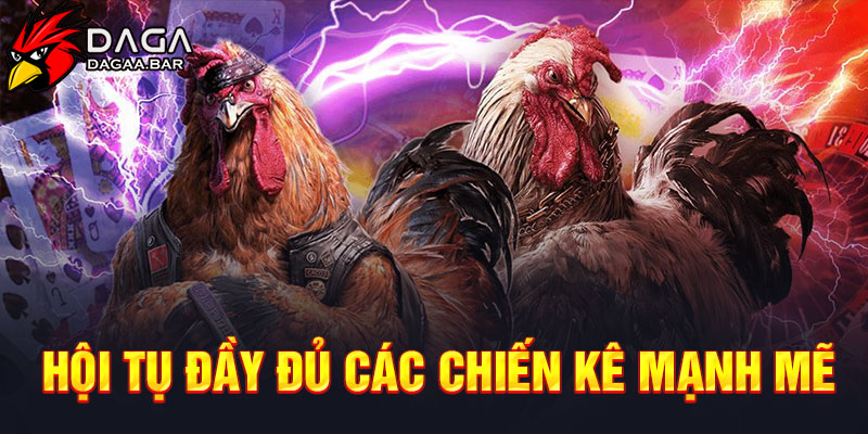 Hội tụ đầy đủ các chiến kê mạnh mẽ