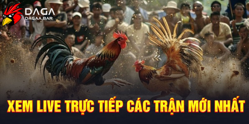 Xem live trực tiếp các trận mới nhất